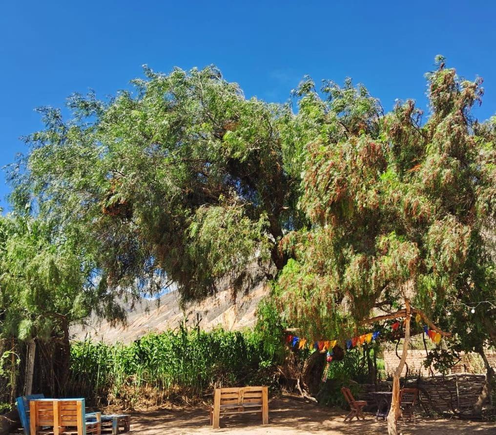 Cabanas Apu Maimara Bagian luar foto